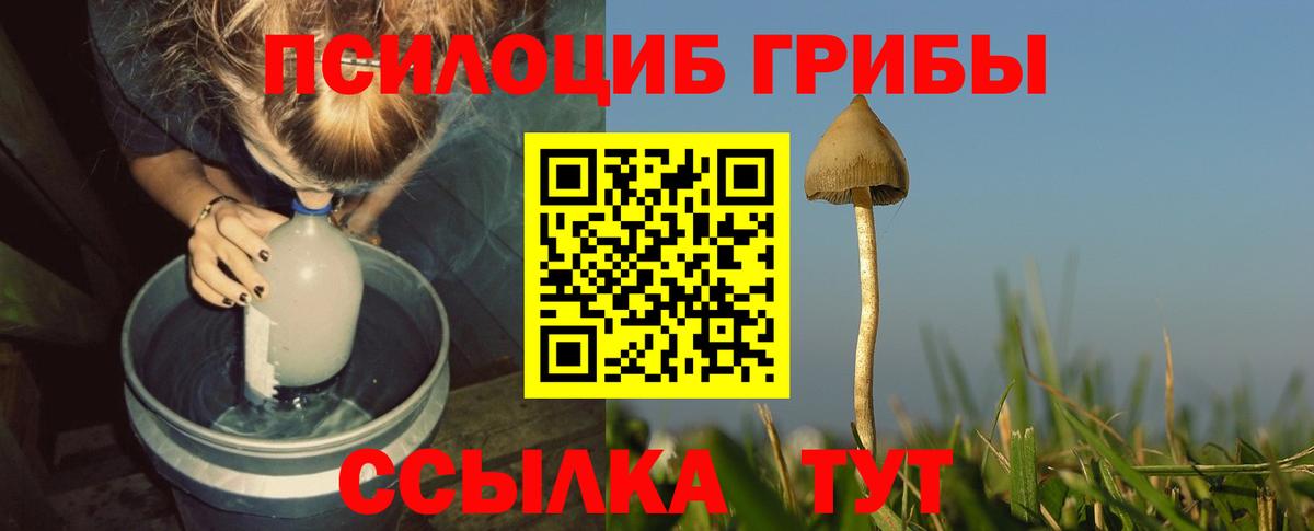 Псилоцибиновые грибы ЛСД  Вход с VPN  цены   Лесозаводск 